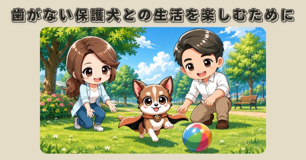 歯がない元繁殖引退犬の保護犬チワワのラテまるが公園で飼い主ママとパパと一緒に楽しんでいる様子