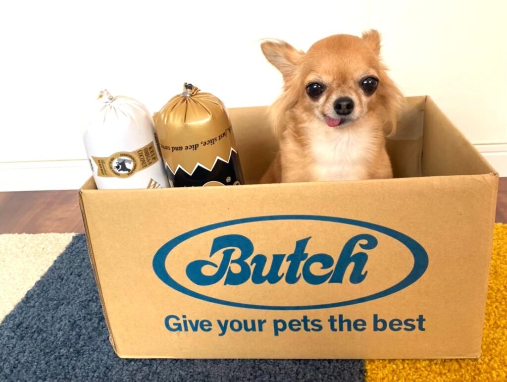 ブッチを食べていた頃の保護犬チワワのラテまる